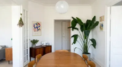 Lyst nymalet lejlighedsstue med stukloft, egetræsbord og store stueplanter